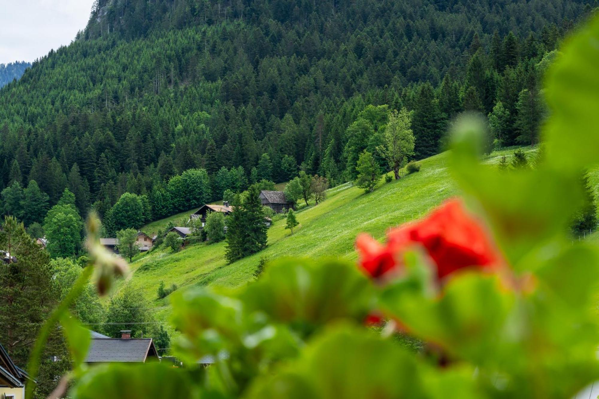 Haus Friedrich Hotel Гозау Екстериор снимка